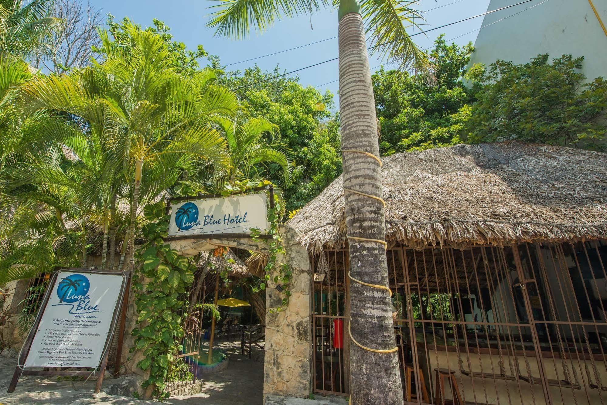 Luna Blue Hotel Playa Del Carmen Buitenkant foto